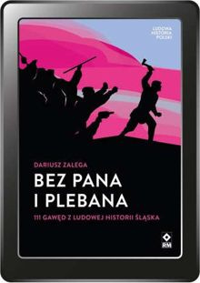 Bez Pana i Plebana (e-book)